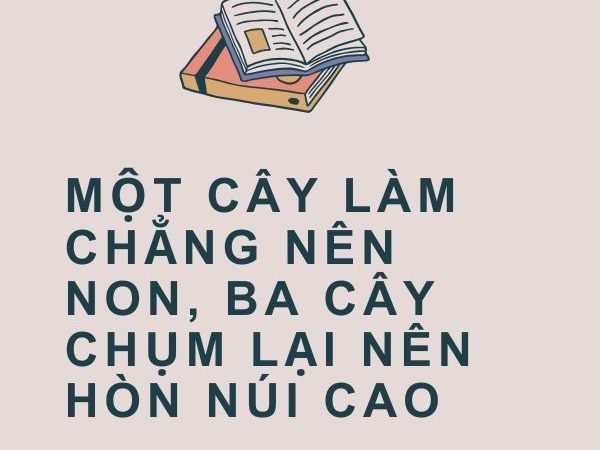 Giải nghĩa câu “Một cây làm chẳng nên non, ba cây chụm lại nên hòn núi cao”
