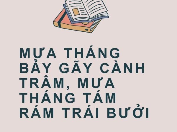 Giải nghĩa câu “Mưa tháng bảy gãy cành trâm, mưa tháng tám rám trái bưởi”