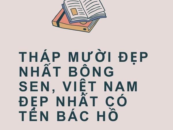 Giải nghĩa câu “Tháp Mười đẹp nhất bông sen, Việt Nam đẹp nhất có tên Bác Hồ”