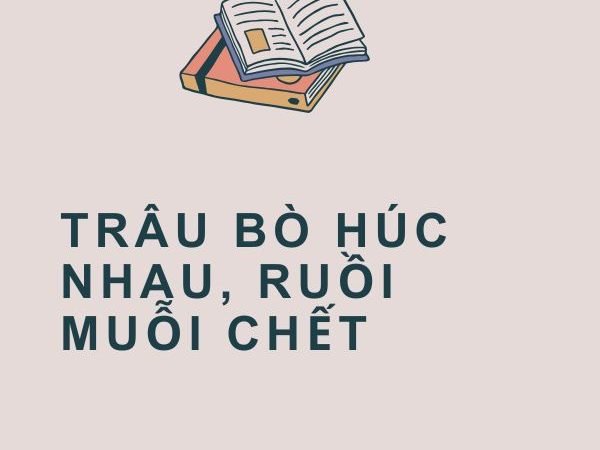 Giải Nghĩa Câu Tục Ngữ “Trâu Bò Húc Nhau, Ruồi Muỗi Chết”