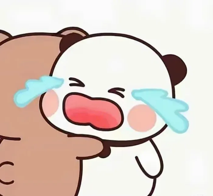 ảnh 2 con mèo ôm nhau