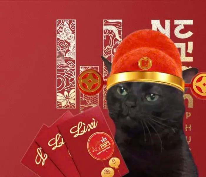 ảnh chế tết mèo meme