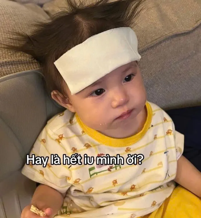 ảnh meme của pam