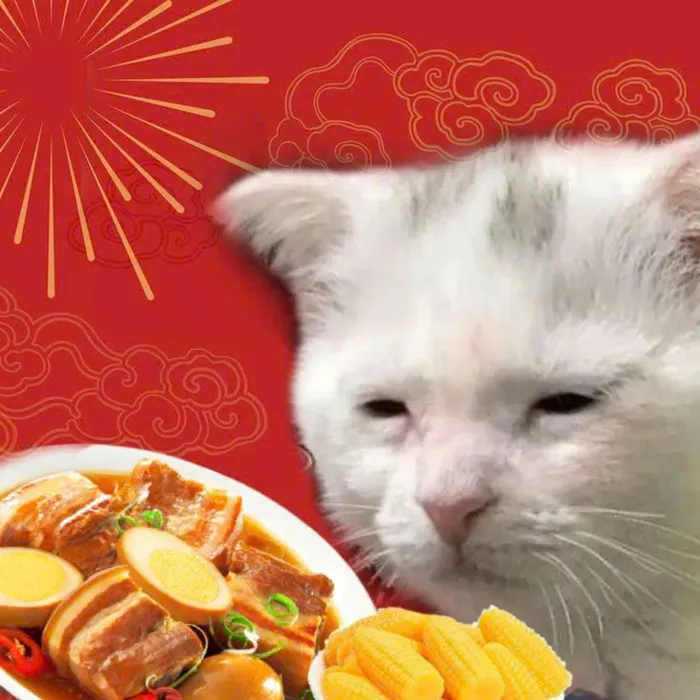 ảnh meme mèo tết