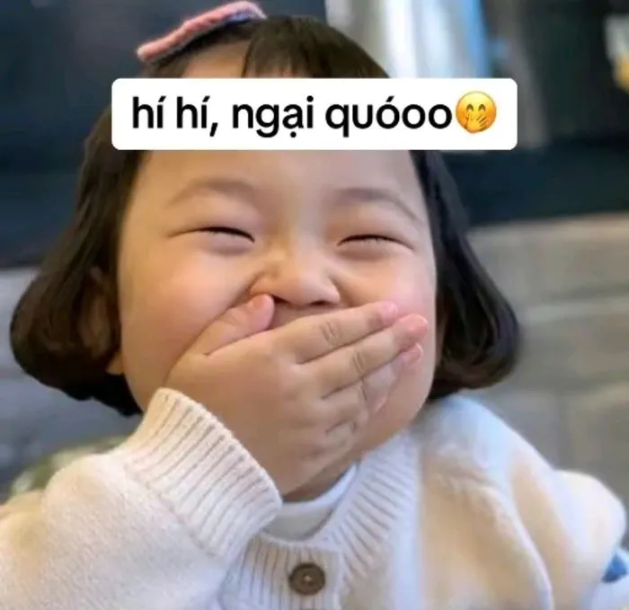 ảnh meme ngại