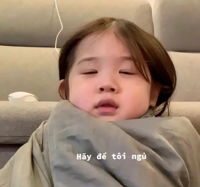 ảnh meme ngủ ngon