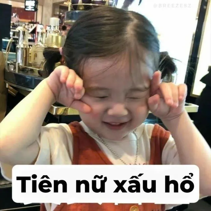 ảnh người ngại meme