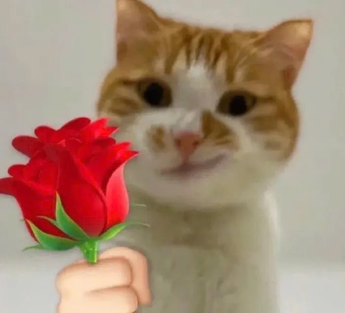 ảnh tặng hoa meme