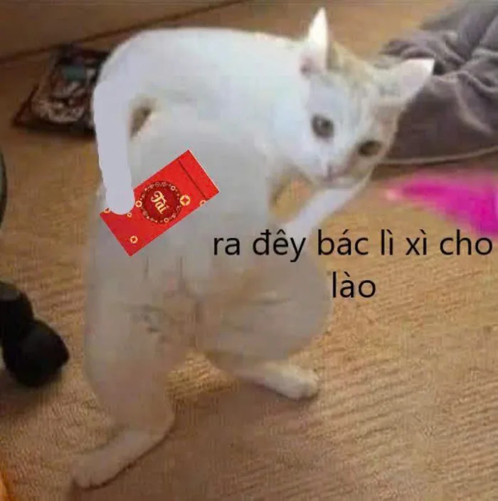 ảnh tết cute 2023