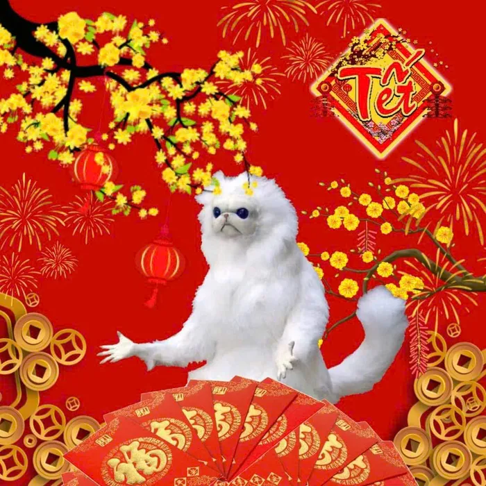 ảnh tết hài hước