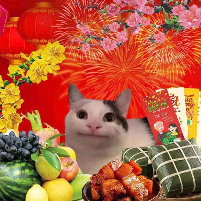 avatar mèo tết meme