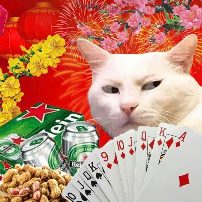 avatar tết 2023 cute