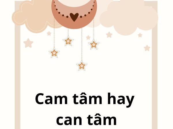 Cam Tâm hay Can Tâm? Đâu Là Cách Viết Đúng và Ý Nghĩa Thực Sự?