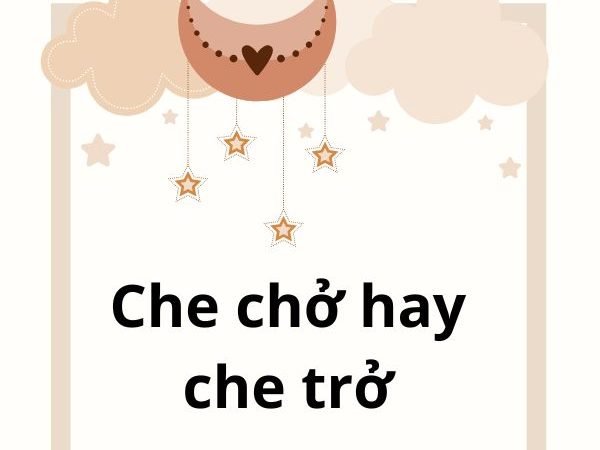 Che chở hay che trở: Đâu là cách viết đúng và ý nghĩa thực sự?