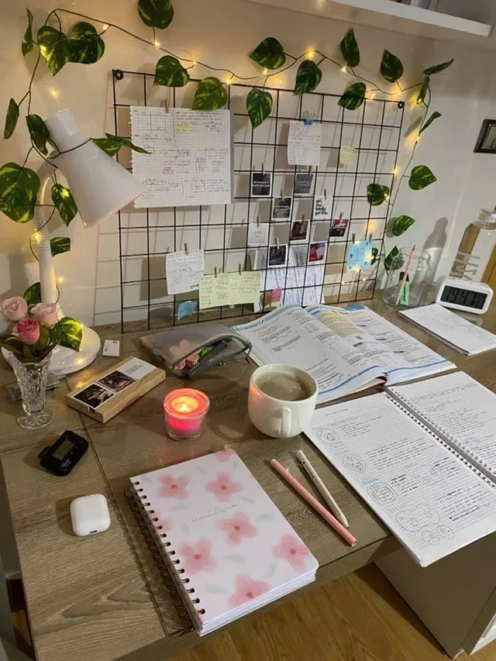 chill học tập ảnh