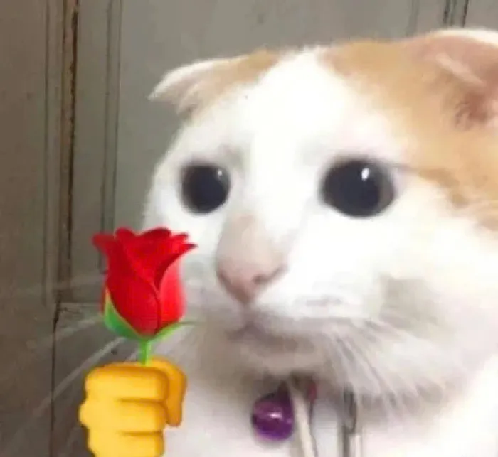 cute meme tặng hoa