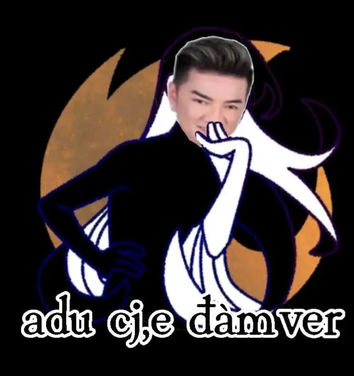 đàm vĩnh hưng meme hài