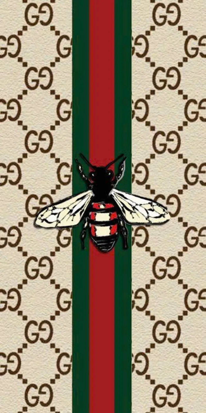 gucci ảnh