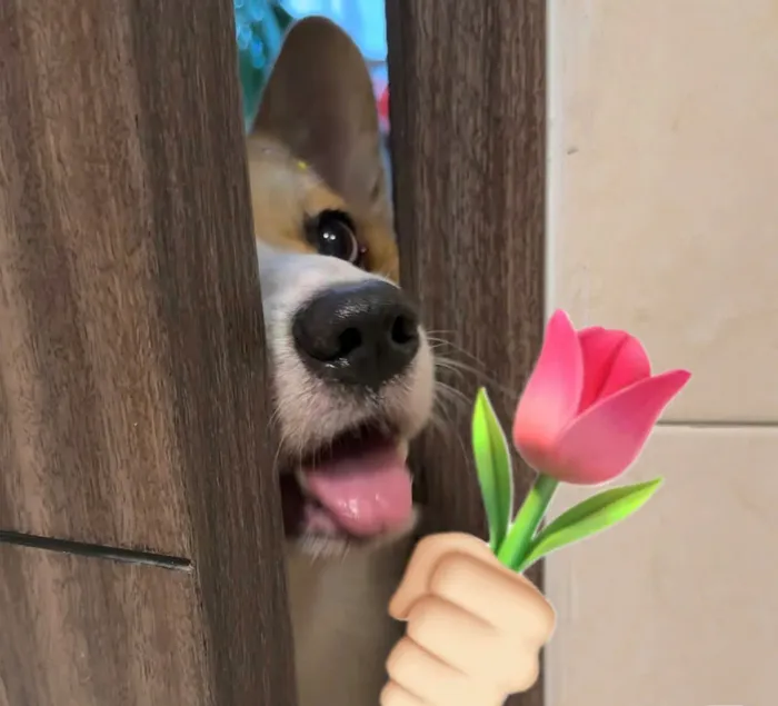 hình ảnh meme cute