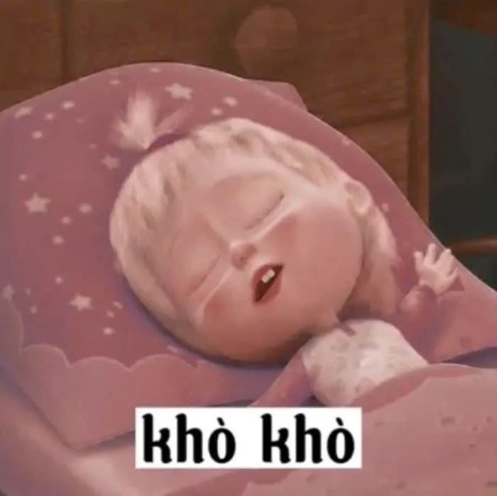 hình ảnh ngủ ngon hài hước