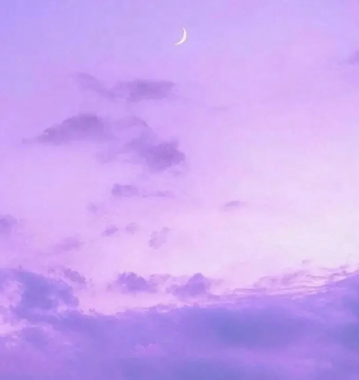 hình nền ipad màu tím