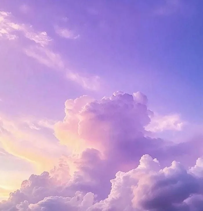 hình nền laptop màu tím