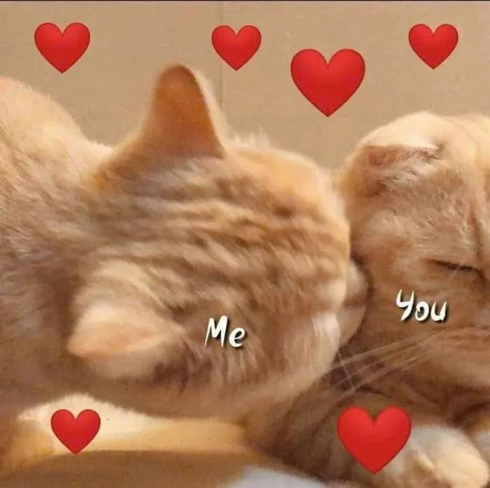 hình vẽ cute về tình yêu