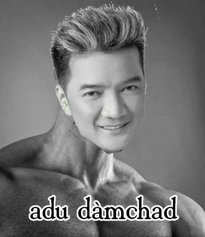meme chế ảnh đàm