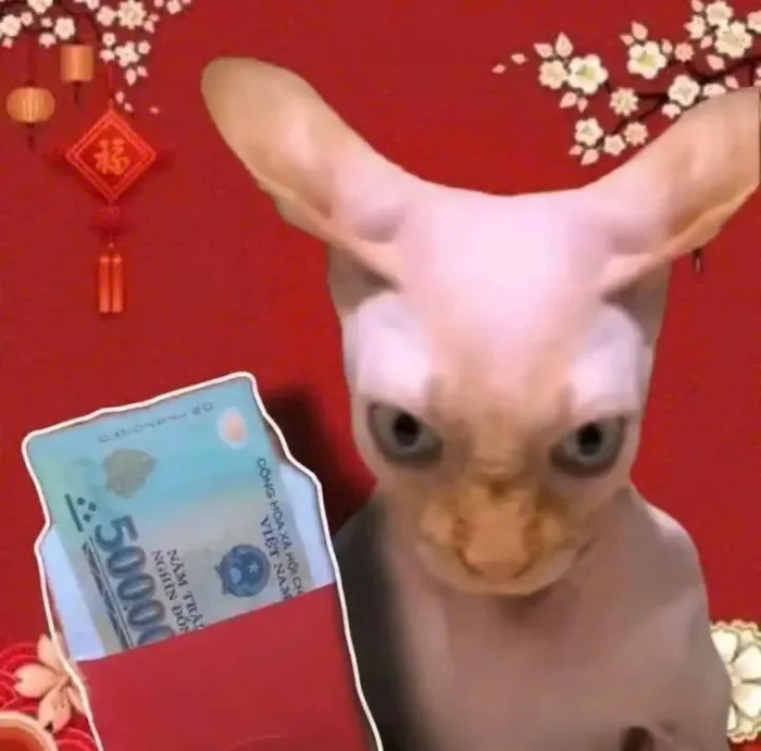 meme chúc mừng năm mới