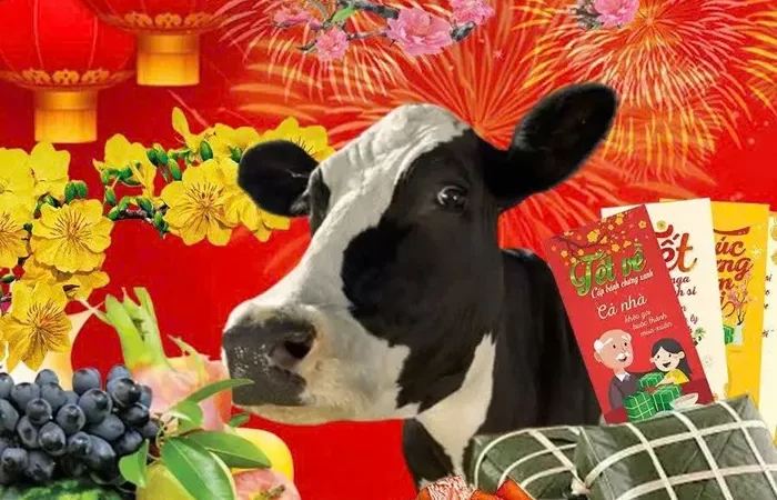 Tuyển chọn 99+ hình meme tết hài hước mừng năm mới