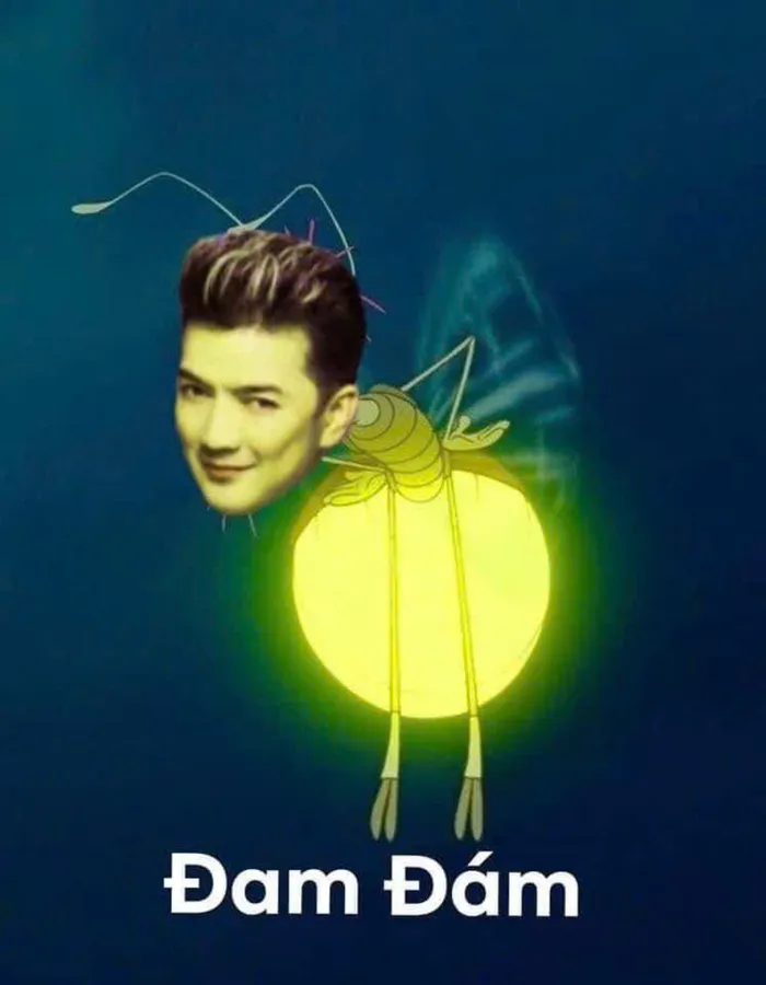 meme đàm đam đám