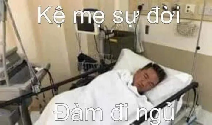 meme đàm ngủ