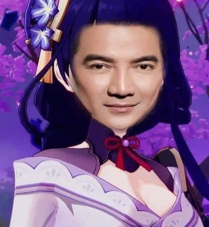 meme đàm vĩnh hưng hài ảnh