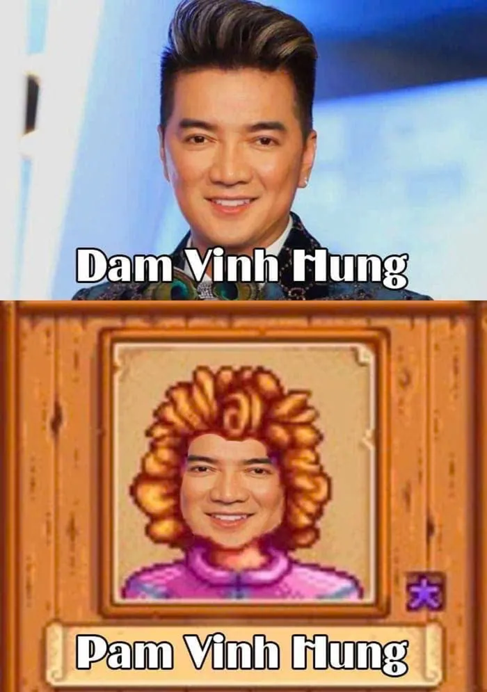 meme đàm vĩnh hưng hài