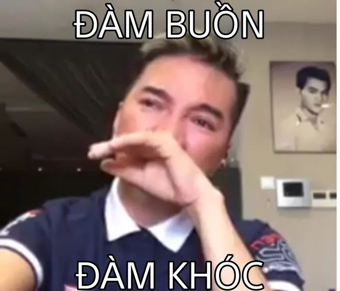 meme đàm vĩnh hưng