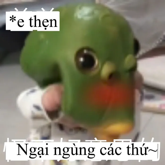 meme đồng cảm