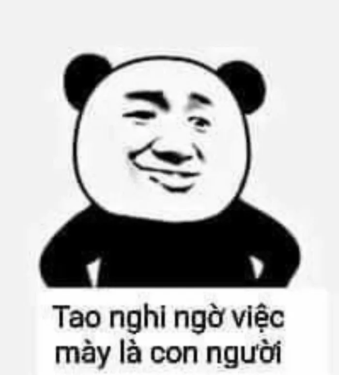 meme gấu hài hước