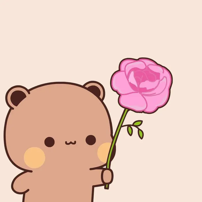 meme gấu tặng hoa