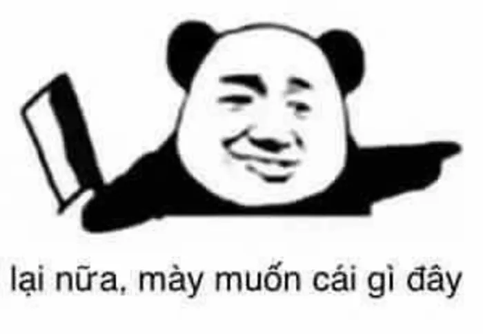 meme gấu trúc bựa