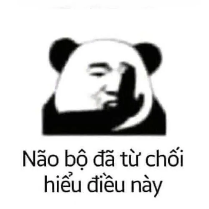 meme gấu trúc cười