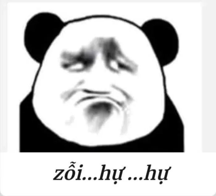 meme gấu trúc mắt thâm