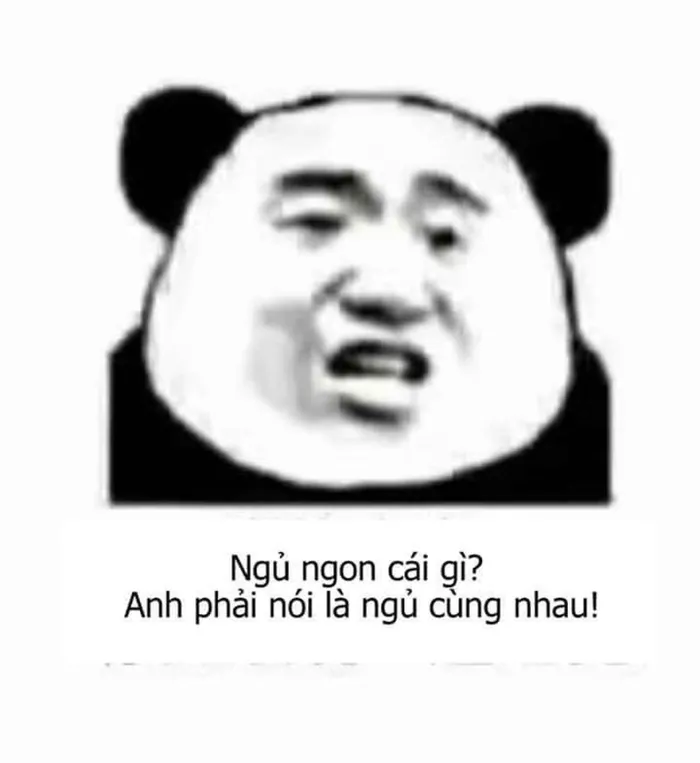 meme gấu trúc trung quốc