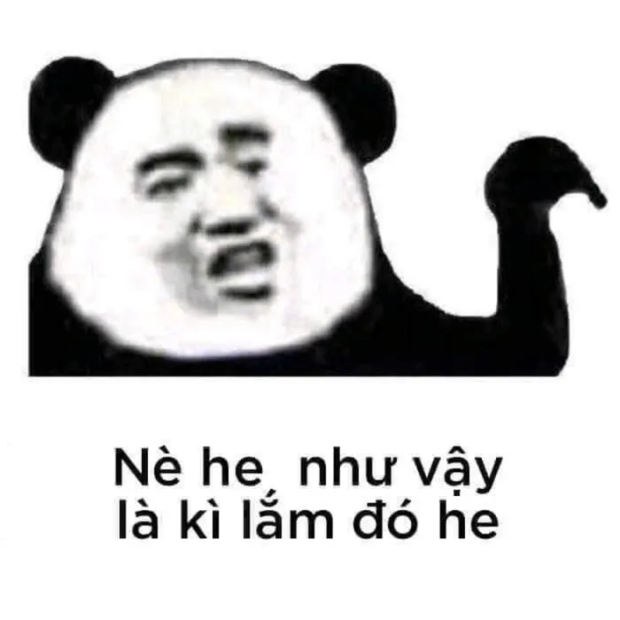meme gấu trúc yêu