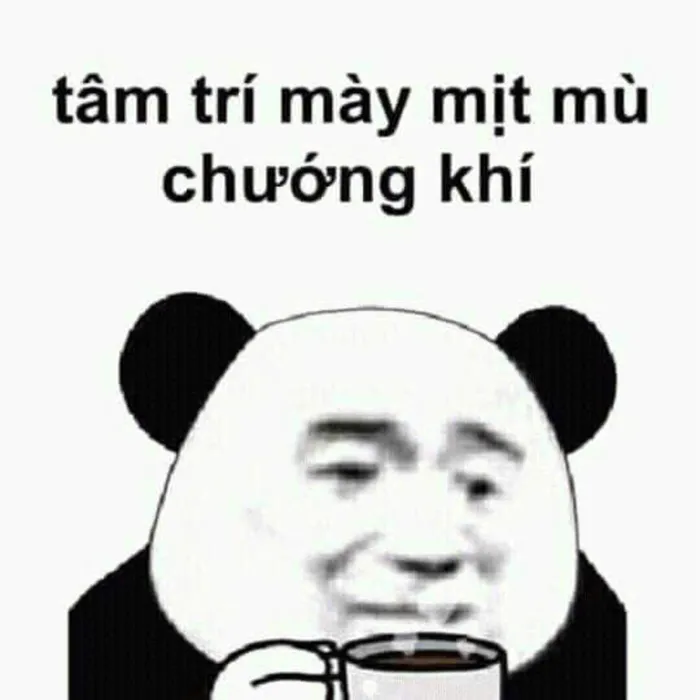meme hài gấu trúc