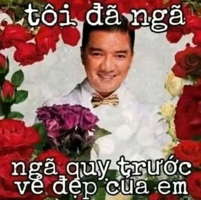 meme mr đàm
