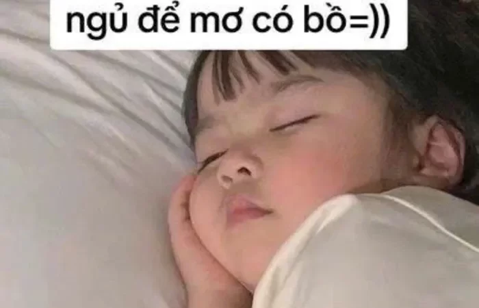 Bộ sưu tập 99+ hình meme ngủ độc đáo & sáng tạo, hài hước