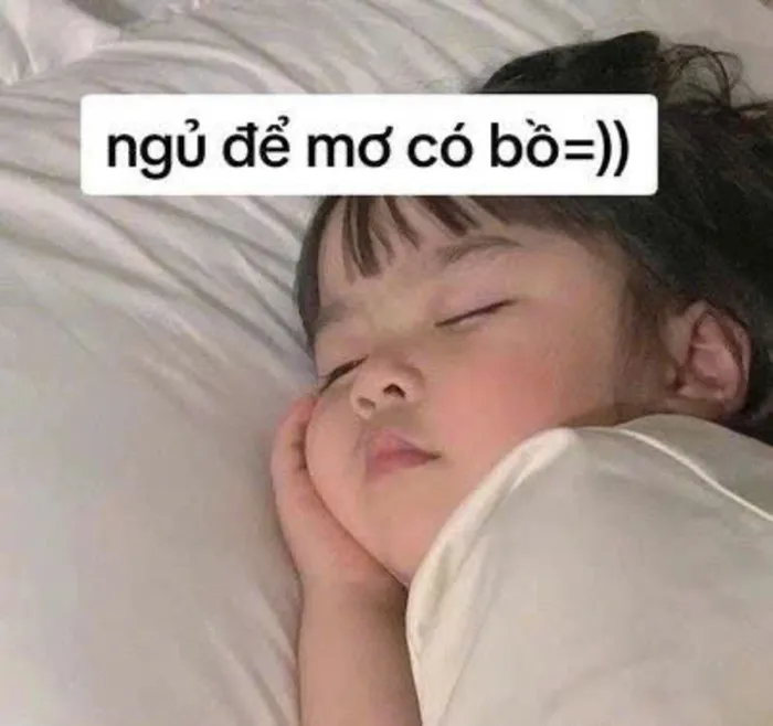 meme nằm ngủ