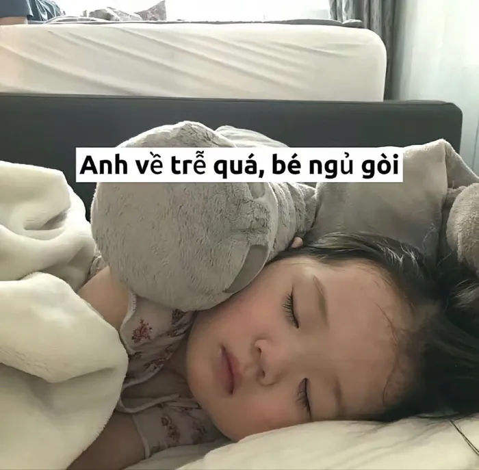 meme ngủ