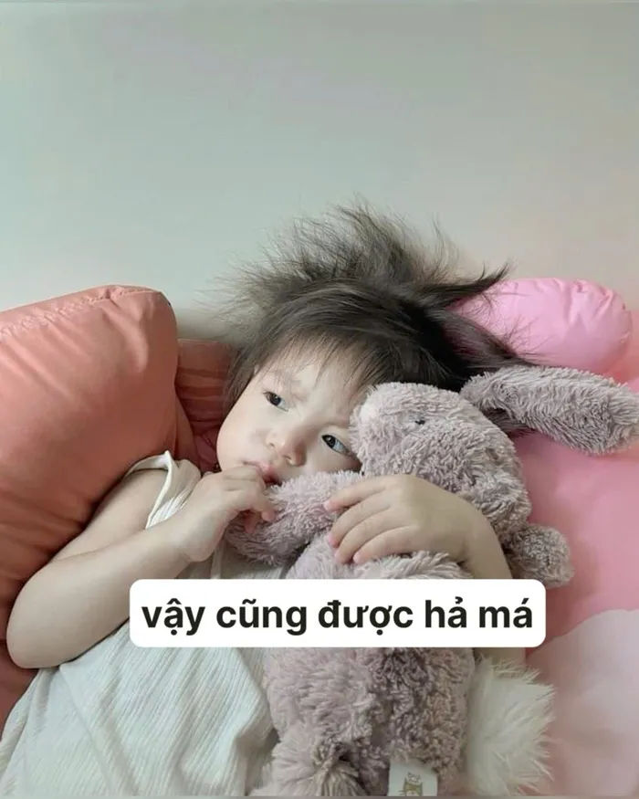 meme pam mặt vuông
