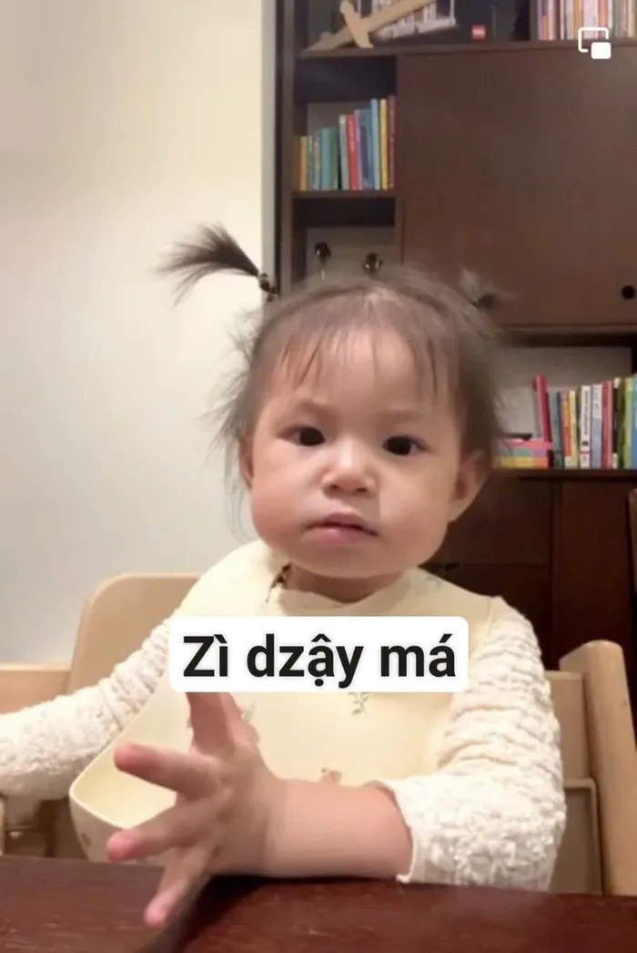 meme pam sợ ơi sợ